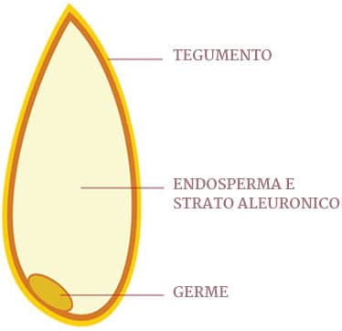 ll Percorso Salute® Galbusera - La nostra filosofia 17